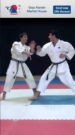 Discover Strength, Confidence, and Respect - The Goju Karate Way