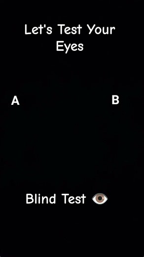 Blind Test 👁️ A B