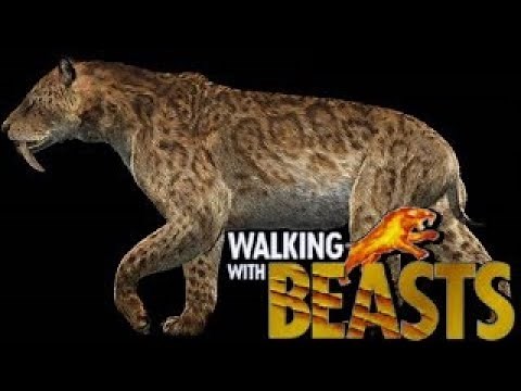 Walking With Beasts [2001] - Smilodon Screen Time