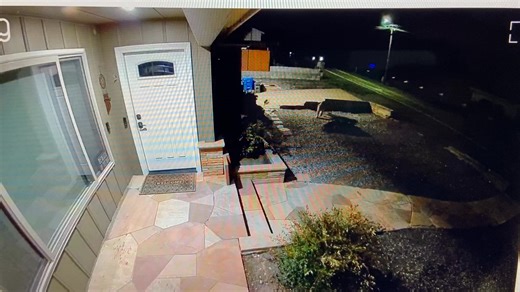 - CAUGHT ON VIDEO - At 11:34 PM Wednesday night, what appears to be a mountain lion was seen walking across a driveway and front yard in the Jensen Road area. According to the individual who posted video anonymously on a CV neighborhood page, "We have fox and coyotes all the time and are not so concerned about those, but a mountain lion on the hunt in our yard at 11:30 is something to be aware of." This is a good reminder if you are out in that area during the late evening to walk in groups, kee