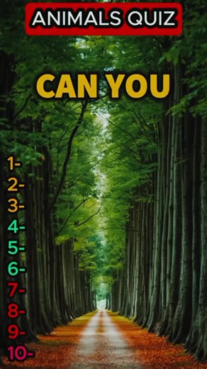 Quiz questions video for gaining knowledge #quizchallenge #triviaquiz #viralquiz #10outof10 #quizvideo