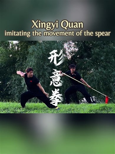 444K views · 8.3K reactions | Watch this demonstration of Xingyi Quan...