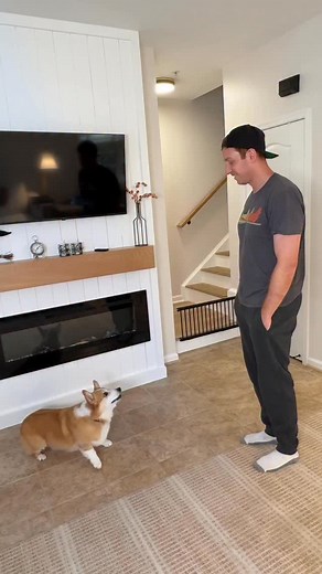 208K views · 6K reactions | He has happy feet! Hammy is overcome with joy whenever it’s close to dinner time. Ever since we switched him to @thefarmersdog he’s lost over 14 pounds of excess body weight and has more energy than ever. Their recipes are made with real meat and veggies which explains why he loves it. Make the switch and try it for your dog! We’re giving you 60% off when you use the link in our bio! #tfdpartner #thefarmersdog | Hammy & Olivia | Facebook