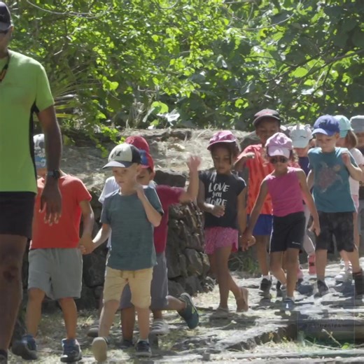 🏃‍♀️ USEP Ouest de la Réunion permet aux maternelles de participer à différente activité en dehors de l’école. Cette semaine c’est une course d’orientation qui est réservé aux tibabas afin de se repérer sur une carte et de le mettre en pratique dans un espace naturel. | Réunion la 1ère