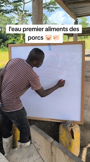 17K views · 350 reactions | L'eau premier aliments des porcs #Elevage #conseils #pig #porcs | chefagriculture | Facebook
