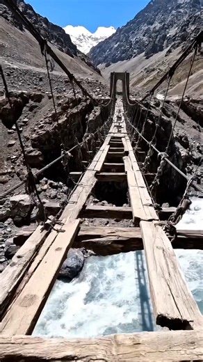 Would You Cross This for $1 Million? 🌉😱