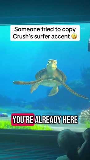 Part 582 #turtletalkwithcrush #turtletalk #funny #turtle #disney #talkshow #kids #ask #reelsvideo #viralvideo #fypシ゚viral | EPCOT Turtle Talk with Crush