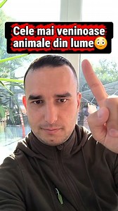 327K views · 6.7K reactions | Cele mai veninoase animale din lume! | Ionut Mosoeanu | Facebook