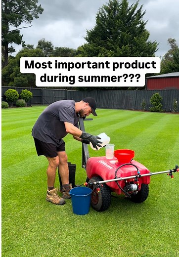 Understanding Wetting Agents for Lawn Care