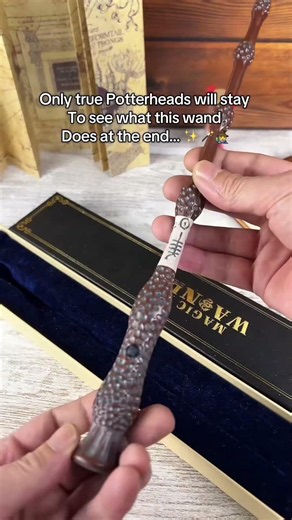 The perfect gift for a Harry Potter fan 🪄🔥#harrypotter #potterhead #harrypotterfan