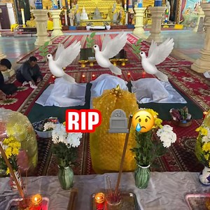 12K views | C Plus on Reels | Facebook