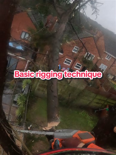 Basic rigging cypress branches over the building! #liveforthechallenge #work #arborist #workhard #amazing @husqvarna