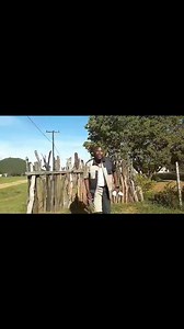 65K views · 3.1K reactions | Combo video out now. #KME @top fans A le rekile combo? Bookings 76 969 045 /77049481 https://drive.google.com/file/d/1sdbCZkRWHBxH0O630uahy9ieUGRjeieT/view?usp=drivesdk | Khoza Mkhozeni Entertainment | Facebook