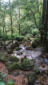 16K reactions · 557 comments | Elsa Ireno Desouza on Reels | Facebook