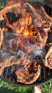 1.5K views · 5 comments | Grilling Fish Over Campfire at Dusk | Flower & Nature lover | Facebook