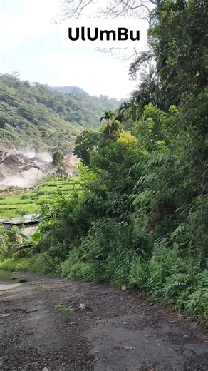 Icall Irenius on Reels