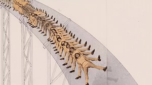 "Moholy-Nagy: Future Present," a comprehensive retrospective of the work of László Moholy-Nagy opens this Friday. The exhibition offers an unparalleled opportunity to examine the career of this pioneering painter, photographer, sculptor, and filmmaker, who was also active in graphic, exhibition, and stage design. An influential teacher at the Bauhaus School of Art and Design in Germany and a prolific writer, #MoholyNagy believed art could work hand-in-hand with technology for the betterment of h