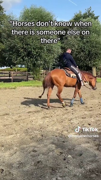 Reining Horses: Care and Sweetness in Training