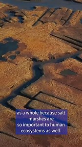 45K views · 613 reactions | Located in the middle of everywhere. Future Wildcats, plan your summer visit and explore the possibilities at the University of New Hampshire: unh.me/Cmev30dw1J5 | University of New Hampshire | Facebook