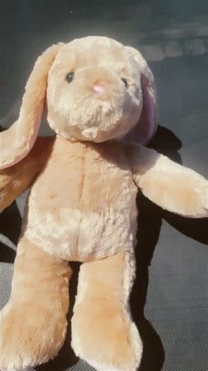 New build a bear, I named her sugar#sweet#buildabear