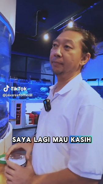 Kasih Makan Ikan Laut: Keindahan Akuarium Laut