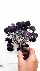 12K views · 215 reactions | I wondered how this lovely Lace Cap...