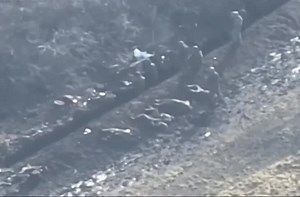 Russian soldier gets pulverized by western artillery shell