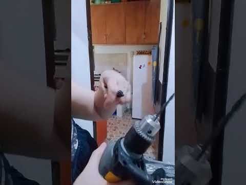 HOW TO USE LOTUS DRILL| PAANO GAMITIN ANG LOTUS DRILL.