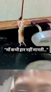 #crazilyfunny