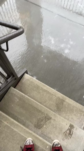 Surviving the Texas Winter Storm: A Texan's Perspective