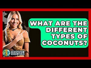 What Are The Different Types Of Coconuts? - Ecosystem Essentials