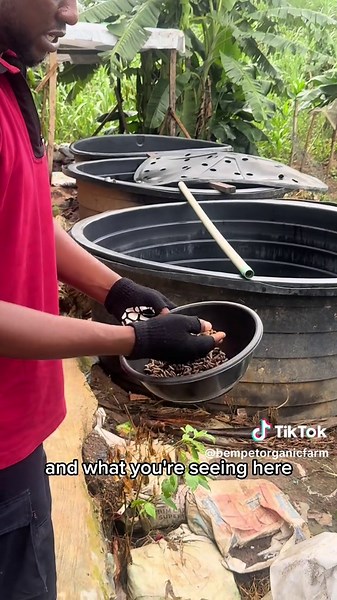 bempetorganicfarm on TikTok