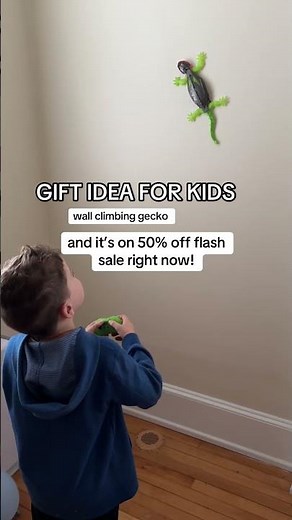 Wall climbing remote control gecko!! This was an absolute winner of all the toys he got!!!