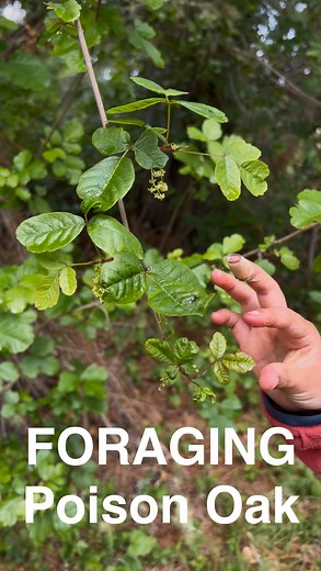 Marketa and David Daley | I am so hesitant to post this.. but I feel compelled to even if its not taken well by most. So here goes; Yes our whole family eats poison... | Instagram