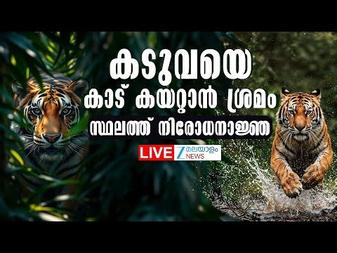 Live: Kerala Wild Animal Attack | കടുവയെ കാട് കയറ്റാന്‍ ശ്രമം ,നിരോധനാജ്ഞ | Zee Malayalam News