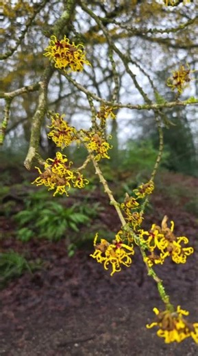 Photography Montage 📷🎞 Spring 2026 #creative