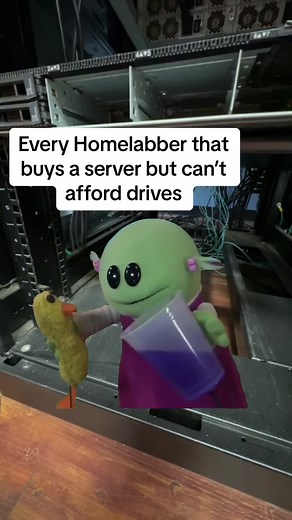 #Meme #MemeCut Cheap servers for a homelab are great and all but why is it every homelabber seems to forget about the storage? #storage #computers #homelab