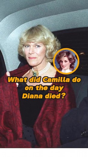 1.5K views · 14 reactions | What did Camilla do on the day Diana died? | Princess Royal Story | Facebook