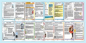 Reading Comprehension Activities for Australian Students Year 3/4 Bumper Pack