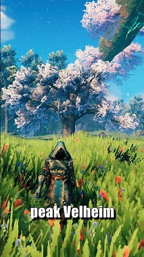 Which Valheim Biome Suits You Best?