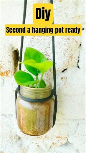 Diy (hanging pot for money plant) #diy #homedecor #gardening #plants