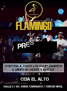 Discoteca Flamingo on Reels | Facebook