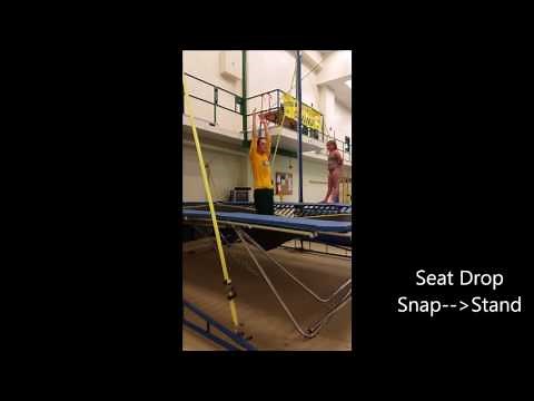 Springboard Diving Dryland Basics
