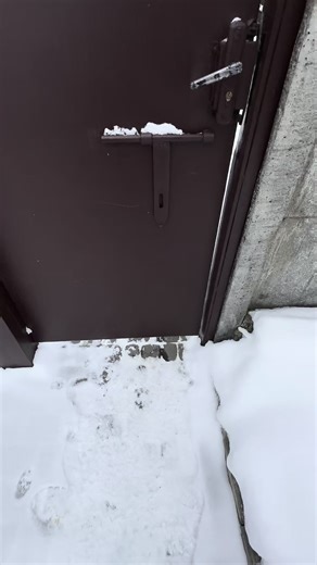 Audi A6 C5 Avant: Впереди 1 или 2 бункера?