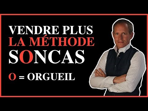 2. Méthode SONCAS : la motivation orgueil + Méthode DISC