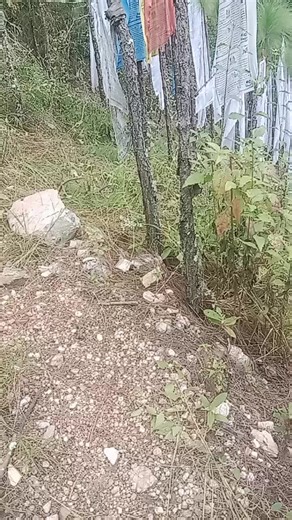 Acho karma 23 (@karma.karma.23)’s videos with original sound - NIMADAWA 😊66