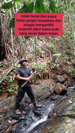 Mark Joe Dast on Instagram: "pelajaran bagi yang pemula di hutan. #wildanimals #wildsound #WildMystery"