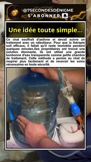 Cette astuce a aidé un chat à respirer