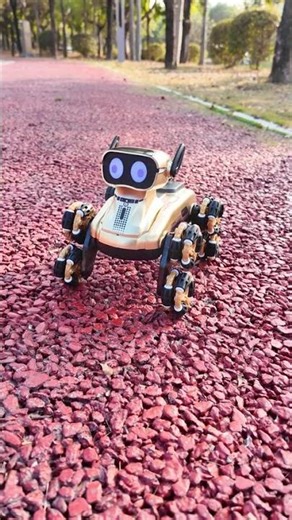 Father's Surprise: Remote-Controlled Robot Dog Unveiling