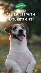 All smiles, all day with Nature's Gift! From nutritious meals to happy pups, we’re here to fuel those joyful moments! #naturesgift #feedhappiness #mixupmealtime #naturesgiftdog #icantbelieveitsforme #happinessinabowl | Nature's Gift | Facebook